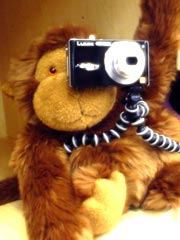 Gorillapod