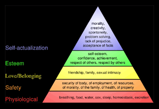 hierarchy of needs