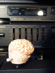 Optimize your media input streams to support your goals
